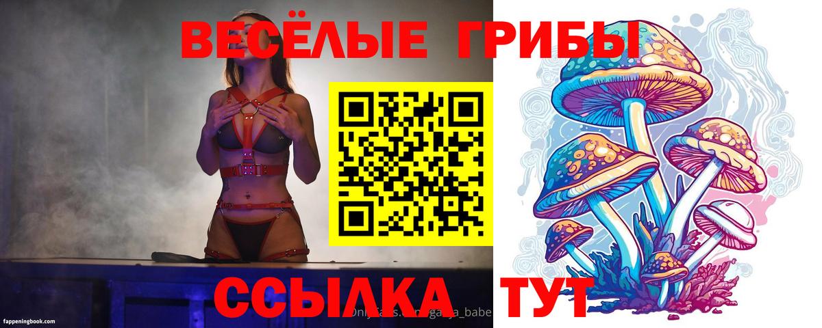 Галлюциногенные грибы Psilocybe Муром