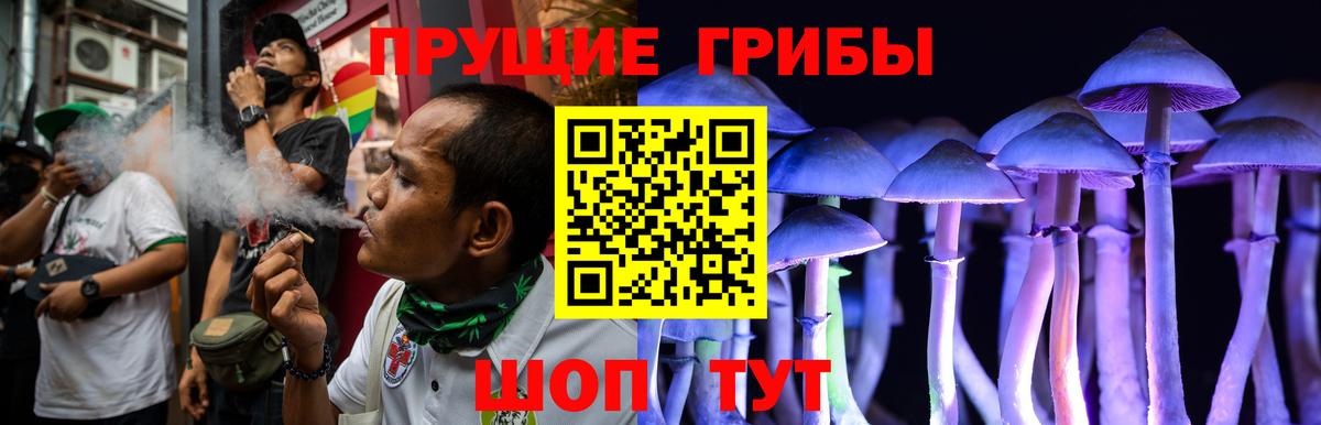 Галлюциногенные грибы MAGIC MUSHROOMS  Вход с VPN  Муром 