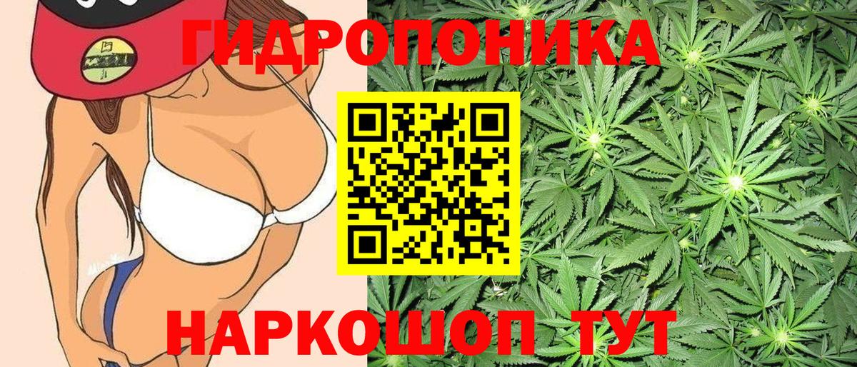 Шишки марихуана THC 21%  Канабис THC 21%  Шишки марихуана планчик  Муром  Вход с VPN 
